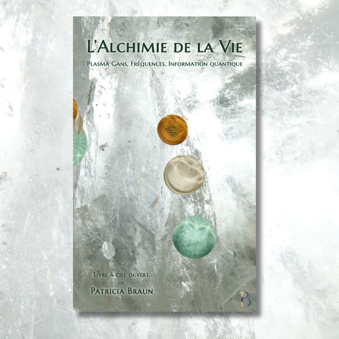 AlchimieDeLaVie_relief_Couverture